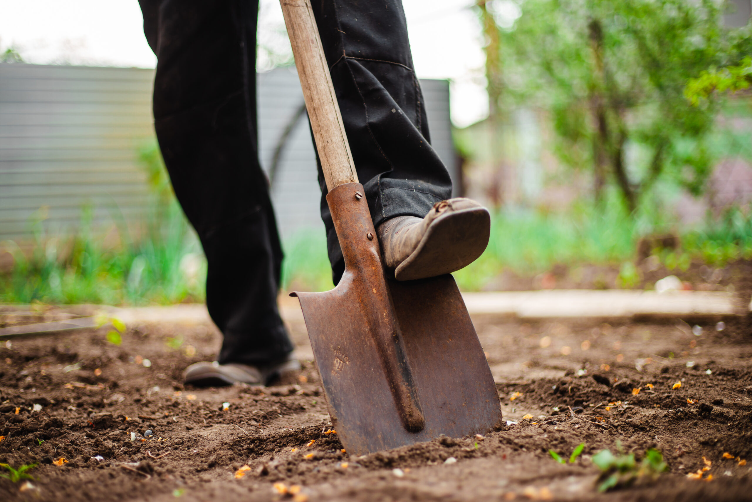 An image of a homeowner digging in their backyard